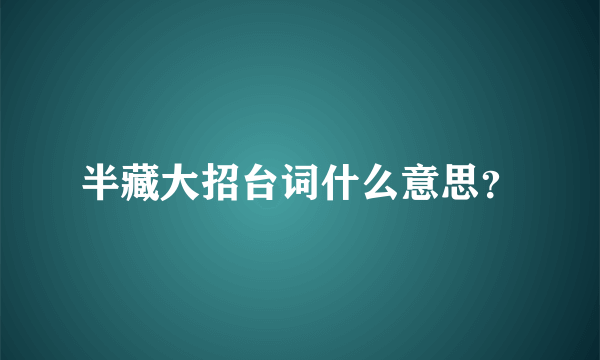 半藏大招台词什么意思？