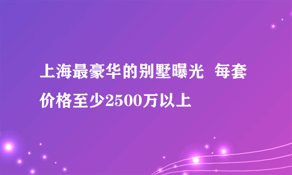 上海最豪华的别墅曝光  每套价格至少2500万以上