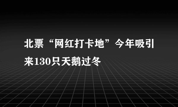 北票“网红打卡地”今年吸引来130只天鹅过冬