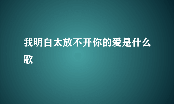 我明白太放不开你的爱是什么歌