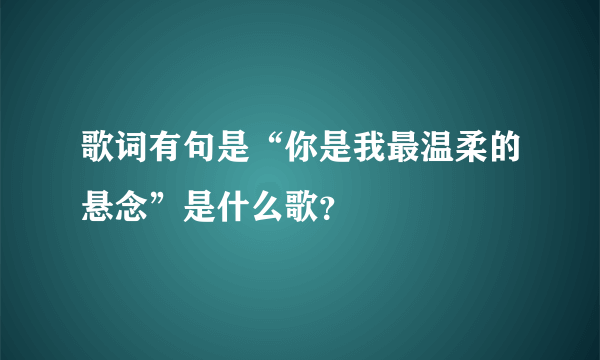 歌词有句是“你是我最温柔的悬念”是什么歌？