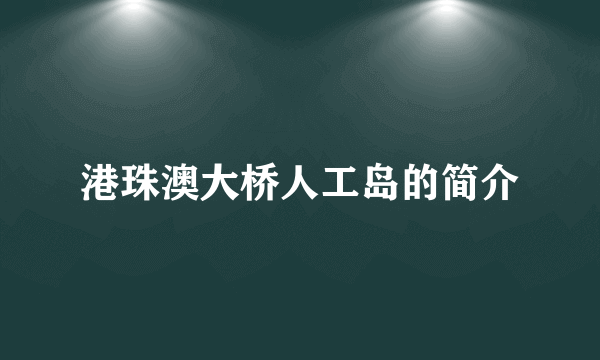 港珠澳大桥人工岛的简介