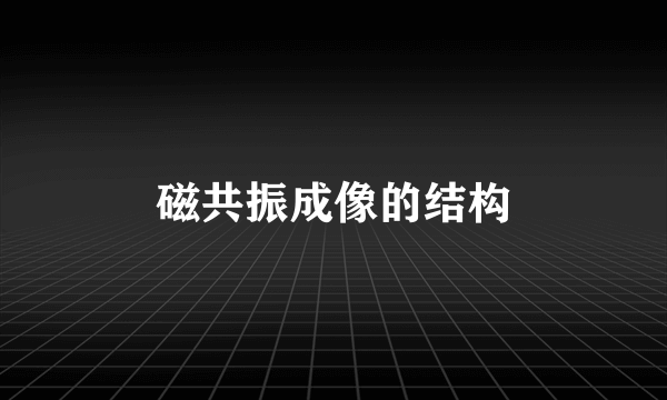 磁共振成像的结构