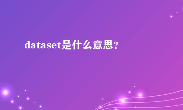 dataset是什么意思？