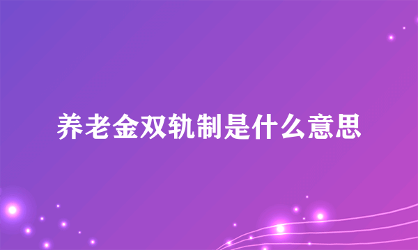 养老金双轨制是什么意思