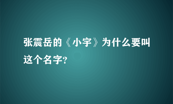 张震岳的《小宇》为什么要叫这个名字？