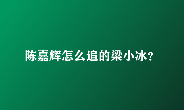 陈嘉辉怎么追的梁小冰？