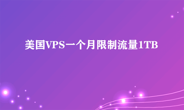 美国VPS一个月限制流量1TB