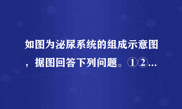 如图为泌尿系统的组成示意图，据图回答下列问题。①②③④(1)①___，它具有___的功能，②___，它具有___的功能，③___，具有___的功能，④___，具有___的功能。(2)人体排尿，不仅起到___的作用，而且对调节体内___和___的平衡，维持组织细胞的正常生理功能，也有重要作用。