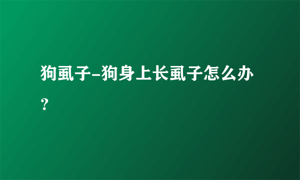 狗虱子-狗身上长虱子怎么办？