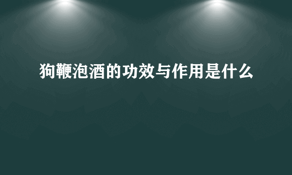 狗鞭泡酒的功效与作用是什么