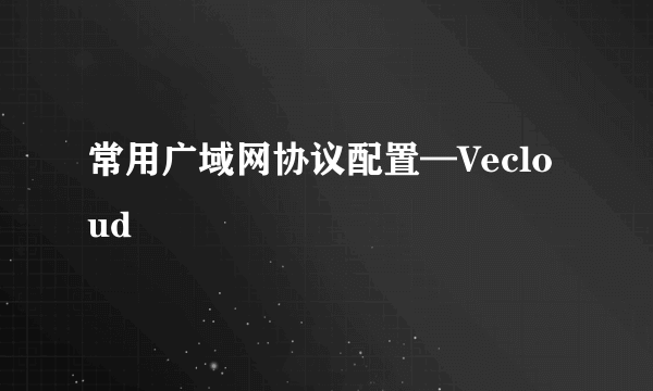 常用广域网协议配置—Vecloud