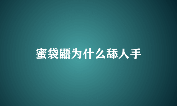 蜜袋鼯为什么舔人手