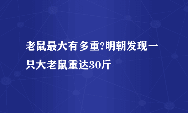 老鼠最大有多重?明朝发现一只大老鼠重达30斤