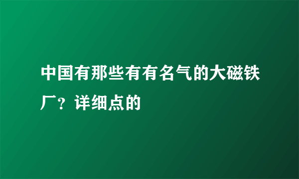 中国有那些有有名气的大磁铁厂？详细点的