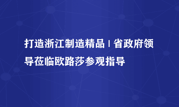 打造浙江制造精品 | 省政府领导莅临欧路莎参观指导