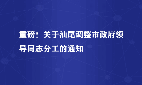 重磅！关于汕尾调整市政府领导同志分工的通知