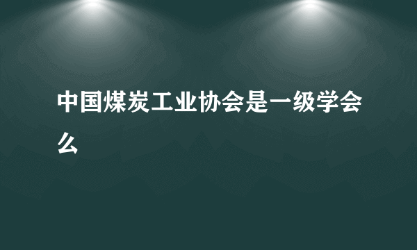 中国煤炭工业协会是一级学会么