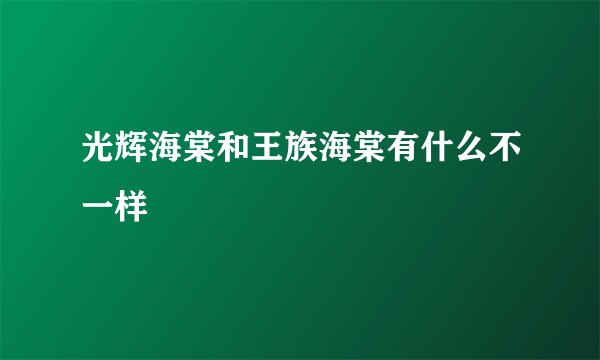 光辉海棠和王族海棠有什么不一样