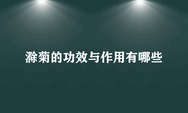 滁菊的功效与作用有哪些