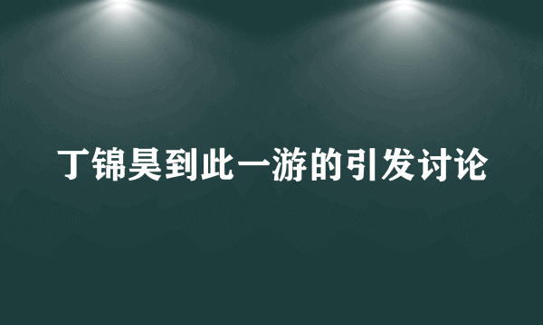 丁锦昊到此一游的引发讨论