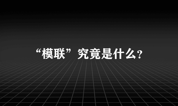 “模联”究竟是什么？