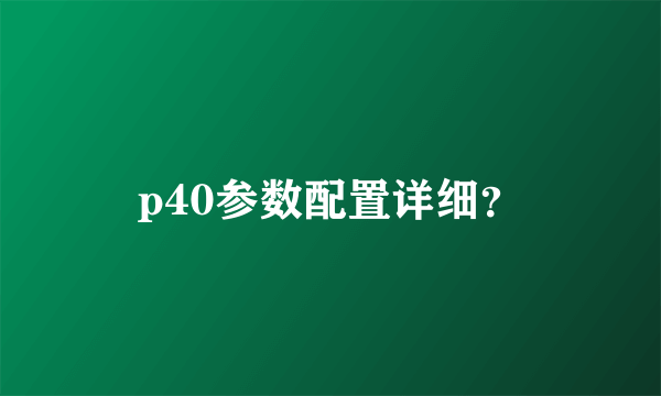 p40参数配置详细？