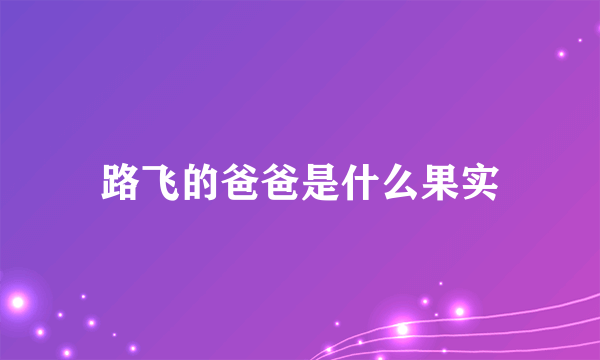 路飞的爸爸是什么果实