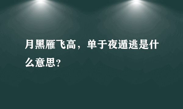 月黑雁飞高，单于夜遁逃是什么意思？