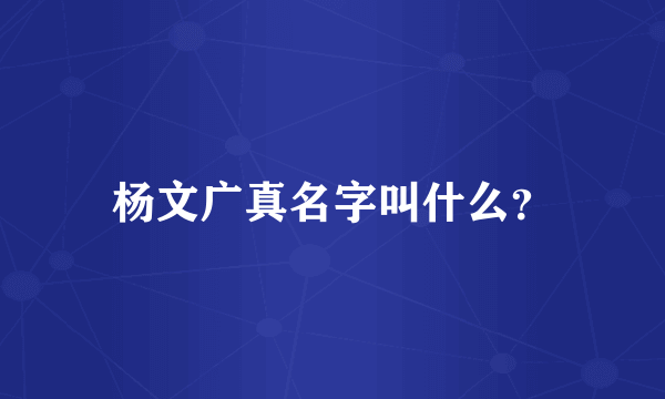 杨文广真名字叫什么？