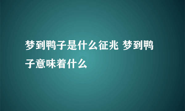 梦到鸭子是什么征兆 梦到鸭子意味着什么 