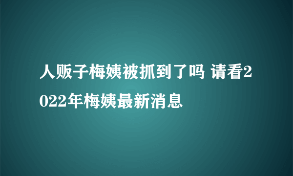 人贩子梅姨被抓到了吗 请看2022年梅姨最新消息