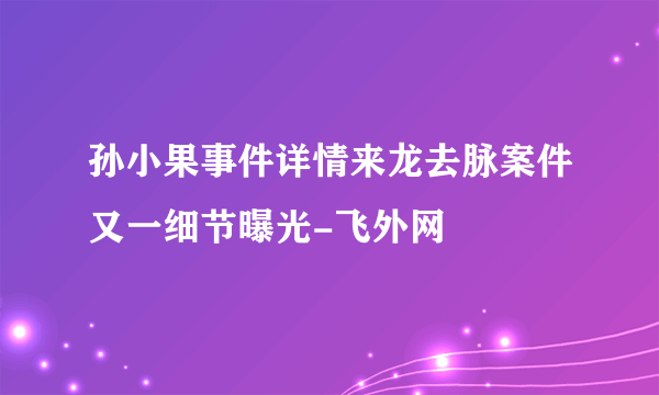 孙小果事件详情来龙去脉案件又一细节曝光-飞外网