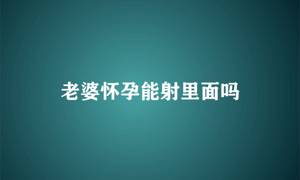 老婆怀孕能射里面吗