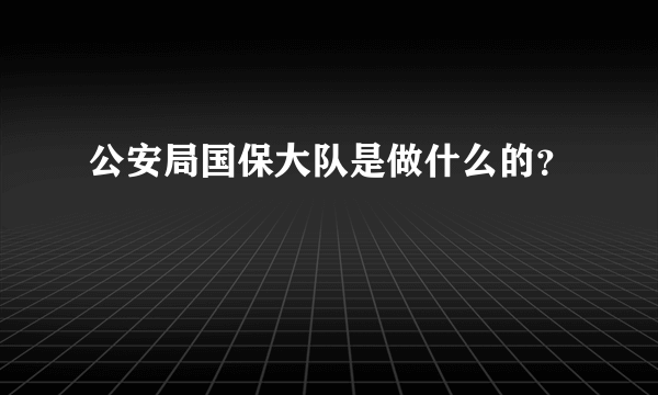 公安局国保大队是做什么的？