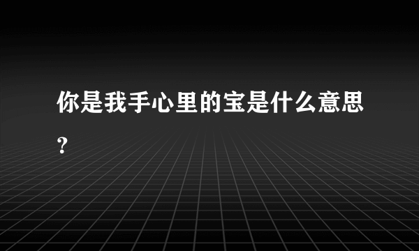 你是我手心里的宝是什么意思？