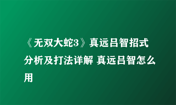 《无双大蛇3》真远吕智招式分析及打法详解 真远吕智怎么用