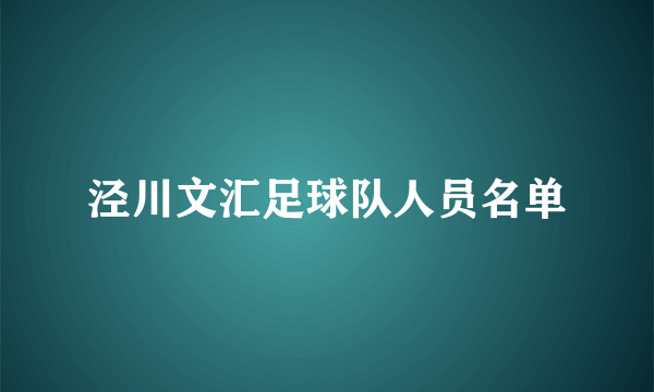 泾川文汇足球队人员名单