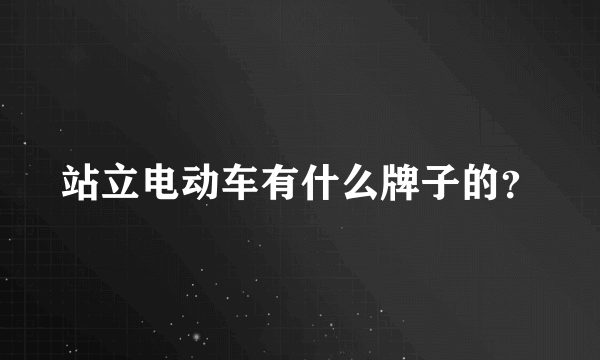 站立电动车有什么牌子的？