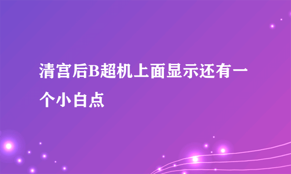 清宫后B超机上面显示还有一个小白点