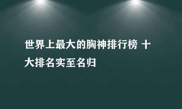 世界上最大的胸神排行榜 十大排名实至名归