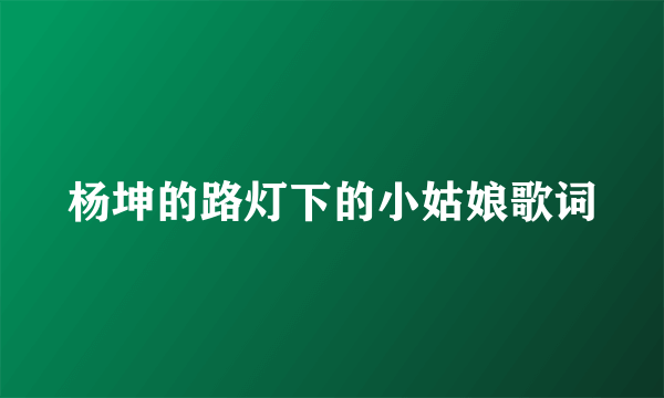 杨坤的路灯下的小姑娘歌词