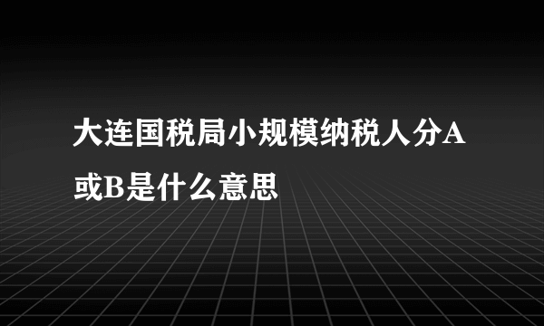 大连国税局小规模纳税人分A或B是什么意思