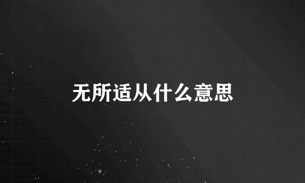 无所适从什么意思