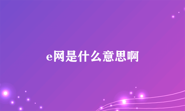 e网是什么意思啊