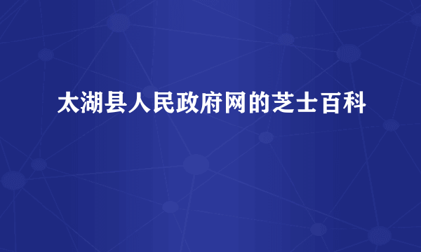 太湖县人民政府网的芝士百科