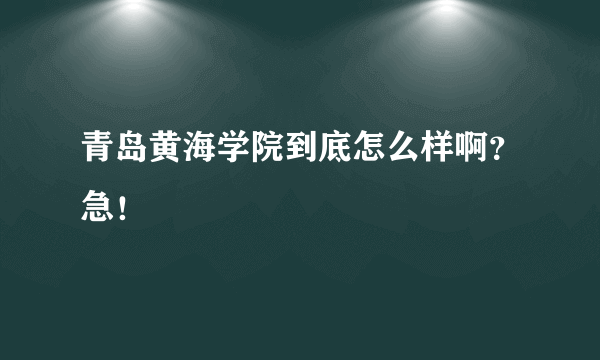 青岛黄海学院到底怎么样啊？急！