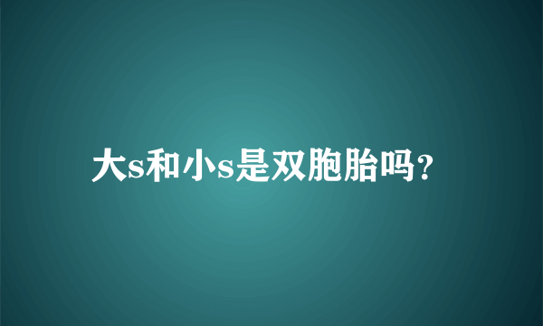 大s和小s是双胞胎吗？