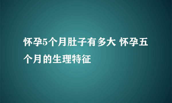 怀孕5个月肚子有多大 怀孕五个月的生理特征