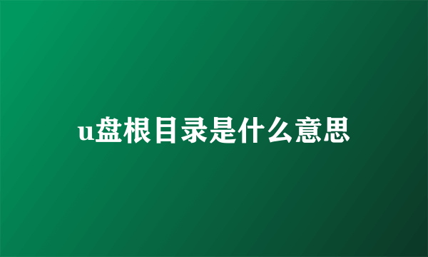 u盘根目录是什么意思